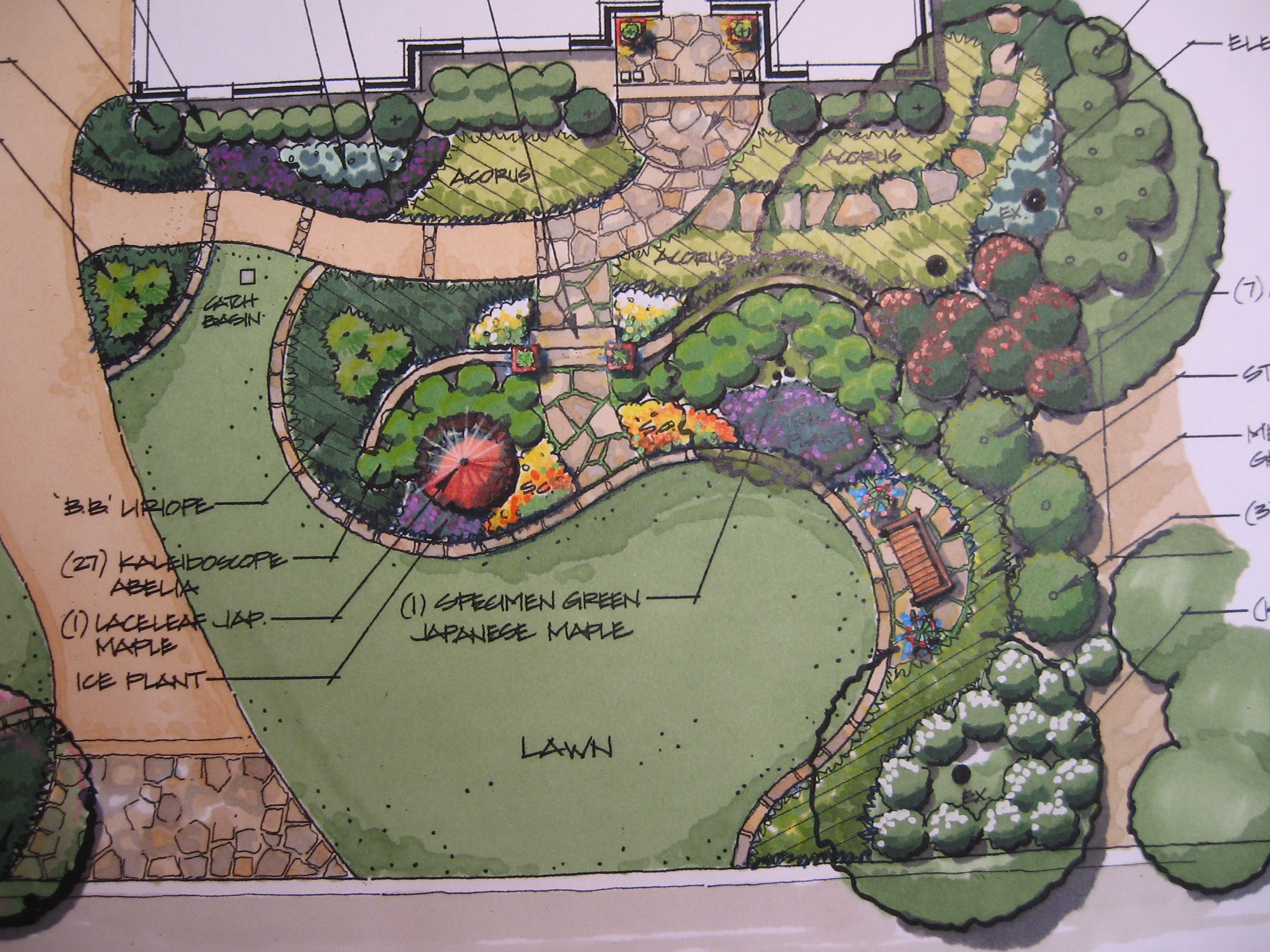 A hand-drawn landscape design plan with labelled planting beds and lawn