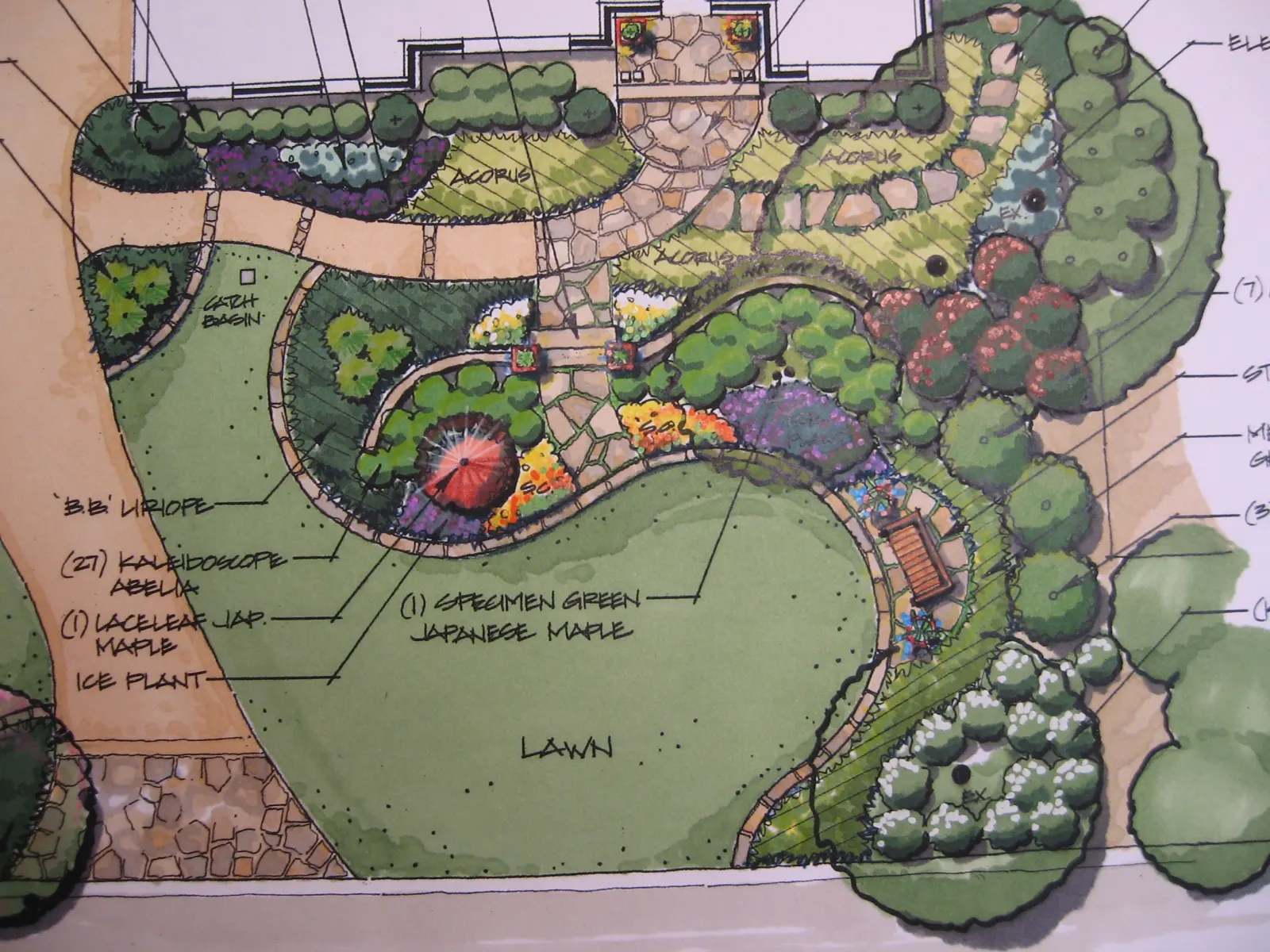 A landscape design plan with labelled planting beds and lawn