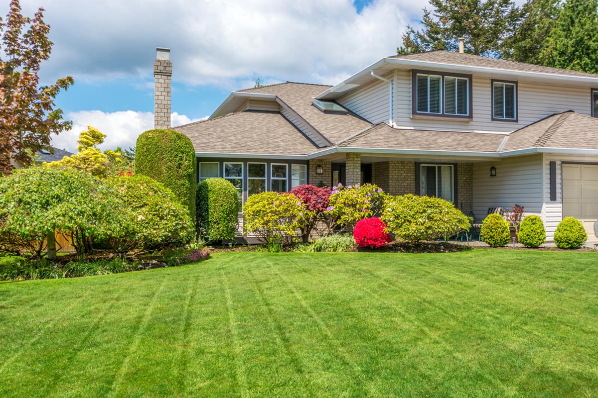 A finished front yard with a fresh-cut lawn and trimmed shrub borders