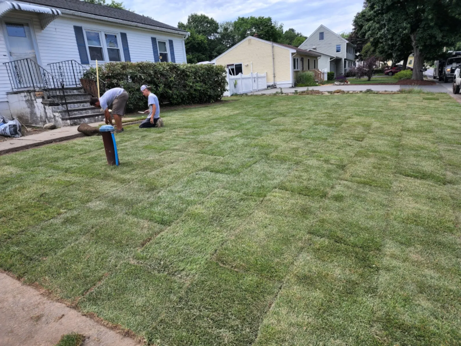 Crew laying fresh sod squares across a lawn