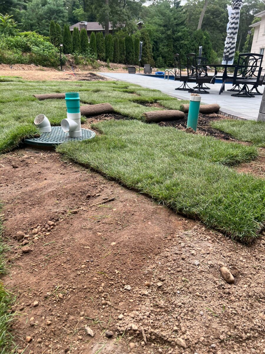 Fresh sod being laid over new drainage lines in a backyard